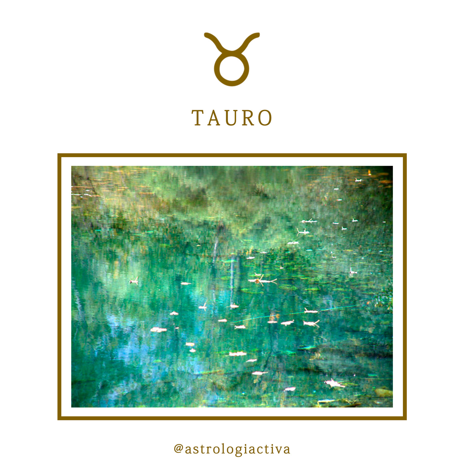 Características astrológicas Tauro