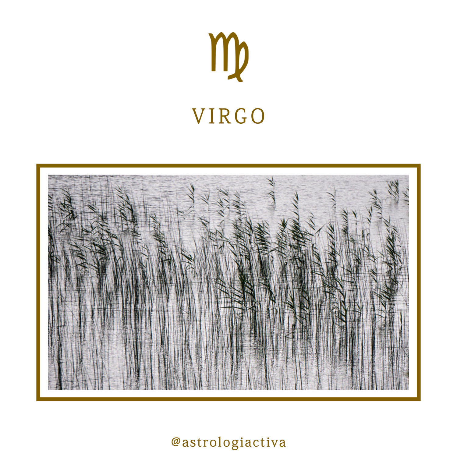 Características astrológicas signo de Virgo