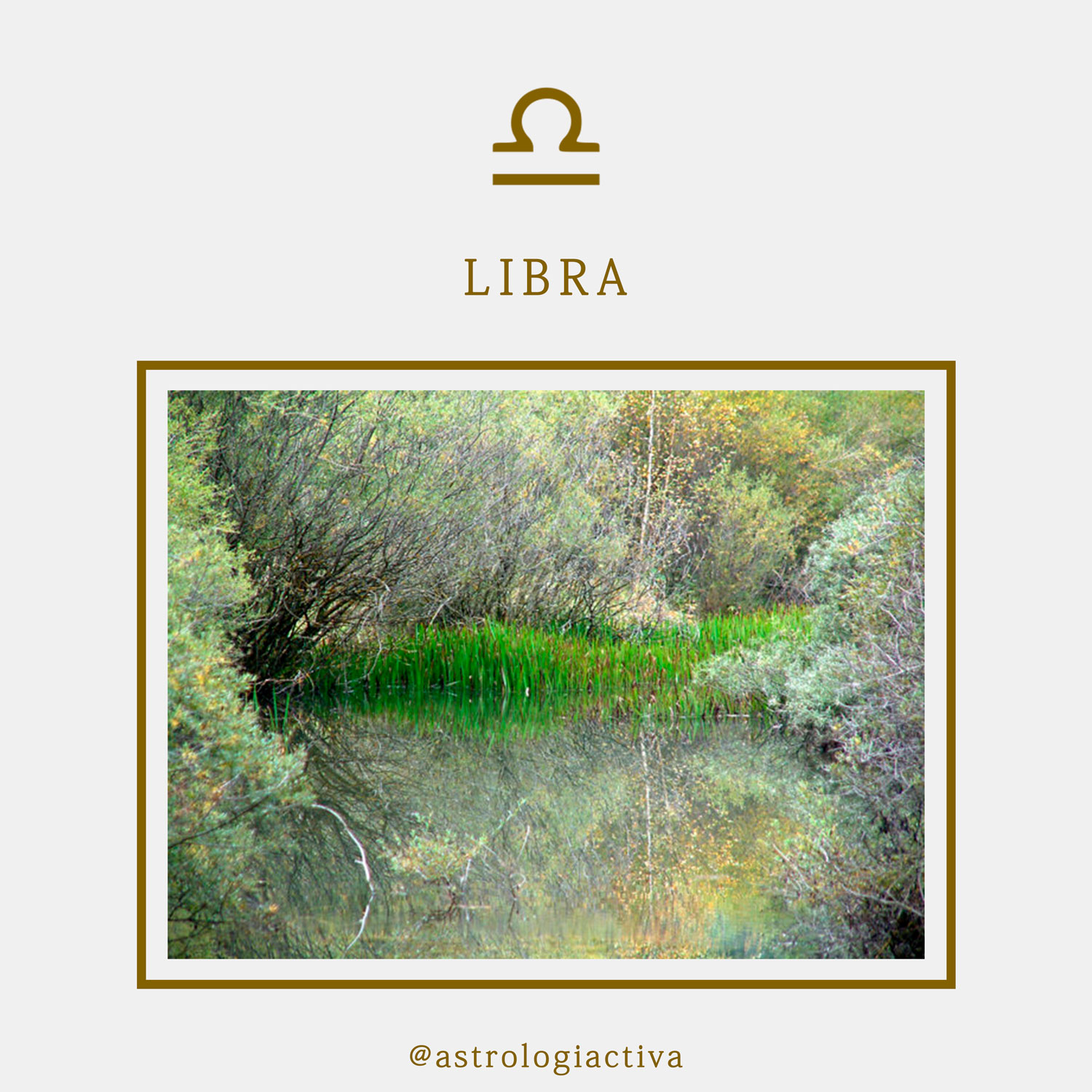 Características astrológicas signo de Libra