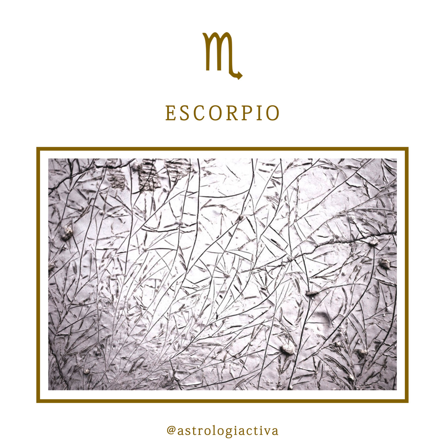 Los doce signos del zodíaco Características astrológicas escorpio