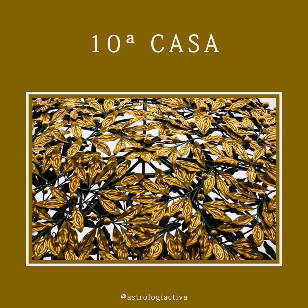 Décima casa astrológica